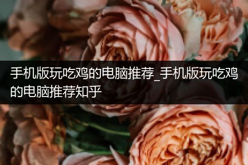 手机版玩吃鸡的电脑推荐_手机版玩吃鸡的电脑推荐知乎