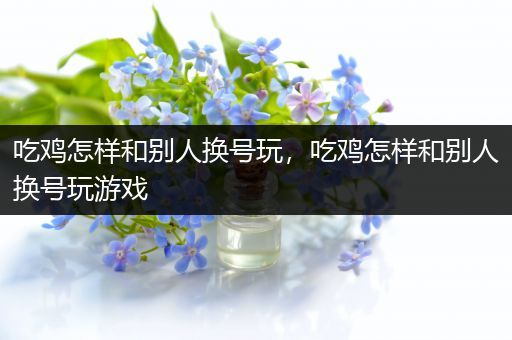 吃鸡怎样和别人换号玩，吃鸡怎样和别人换号玩游戏