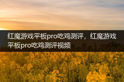 红魔游戏平板pro吃鸡测评，红魔游戏平板pro吃鸡测评视频