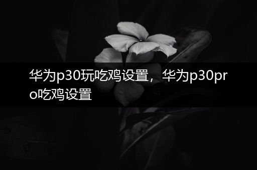 华为p30玩吃鸡设置，华为p30pro吃鸡设置