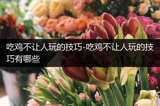 吃鸡不让人玩的技巧-吃鸡不让人玩的技巧有哪些
