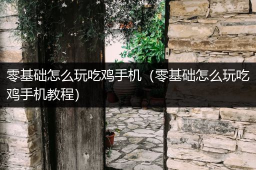 零基础怎么玩吃鸡手机（零基础怎么玩吃鸡手机教程）