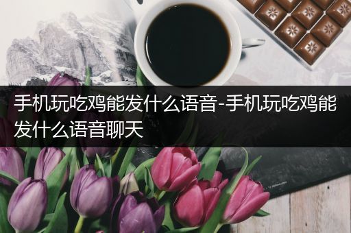 手机玩吃鸡能发什么语音-手机玩吃鸡能发什么语音聊天