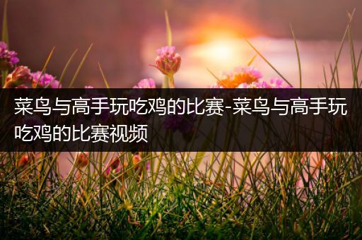 菜鸟与高手玩吃鸡的比赛-菜鸟与高手玩吃鸡的比赛视频