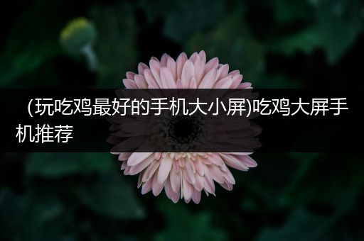 （玩吃鸡最好的手机大小屏)吃鸡大屏手机推荐