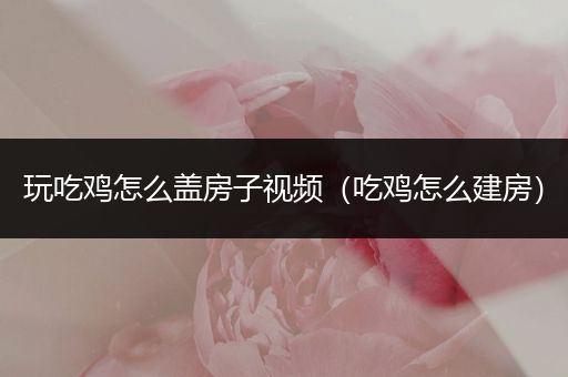 玩吃鸡怎么盖房子视频（吃鸡怎么建房）
