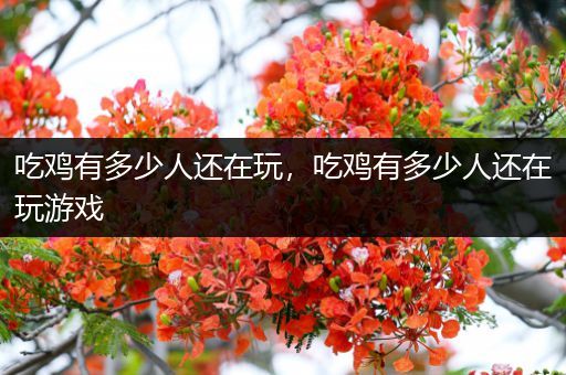 吃鸡有多少人还在玩，吃鸡有多少人还在玩游戏