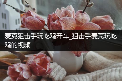 麦克狙击手玩吃鸡开车_狙击手麦克玩吃鸡的视频