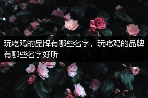 玩吃鸡的品牌有哪些名字，玩吃鸡的品牌有哪些名字好听