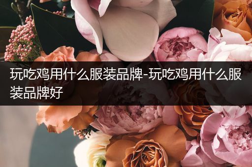 玩吃鸡用什么服装品牌-玩吃鸡用什么服装品牌好