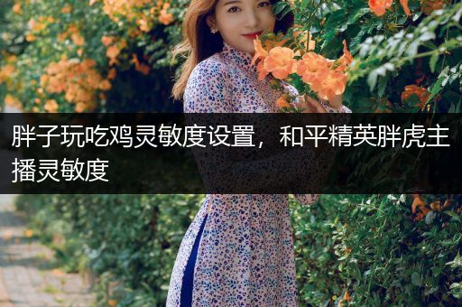 胖子玩吃鸡灵敏度设置，和平精英胖虎主播灵敏度