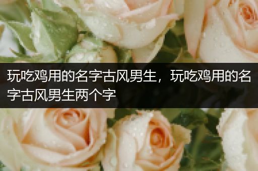 玩吃鸡用的名字古风男生，玩吃鸡用的名字古风男生两个字