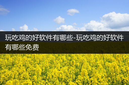 玩吃鸡的好软件有哪些-玩吃鸡的好软件有哪些免费