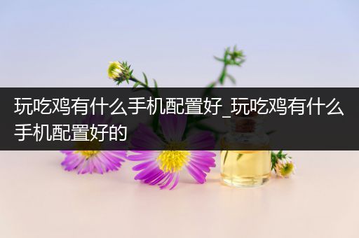 玩吃鸡有什么手机配置好_玩吃鸡有什么手机配置好的