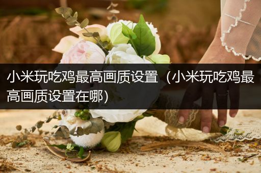 小米玩吃鸡最高画质设置（小米玩吃鸡最高画质设置在哪）