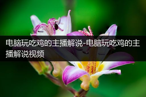 电脑玩吃鸡的主播解说-电脑玩吃鸡的主播解说视频