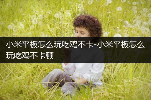 小米平板怎么玩吃鸡不卡-小米平板怎么玩吃鸡不卡顿