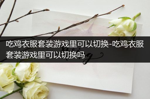 吃鸡衣服套装游戏里可以切换-吃鸡衣服套装游戏里可以切换吗