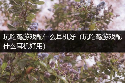 玩吃鸡游戏配什么耳机好（玩吃鸡游戏配什么耳机好用）
