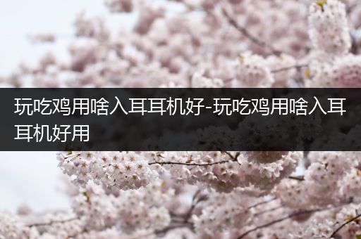 玩吃鸡用啥入耳耳机好-玩吃鸡用啥入耳耳机好用