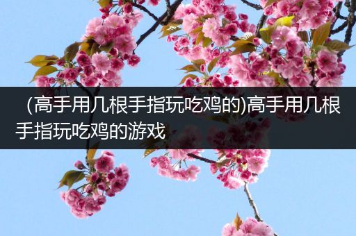 （高手用几根手指玩吃鸡的)高手用几根手指玩吃鸡的游戏