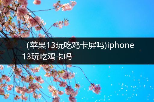 （苹果13玩吃鸡卡屏吗)iphone13玩吃鸡卡吗