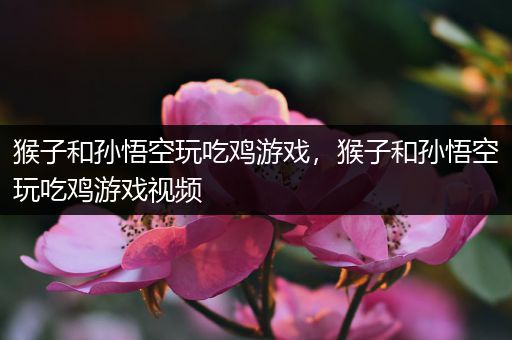 猴子和孙悟空玩吃鸡游戏，猴子和孙悟空玩吃鸡游戏视频