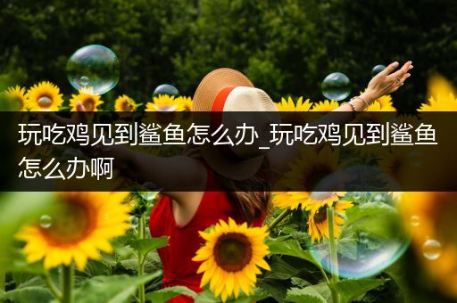 玩吃鸡见到鲨鱼怎么办_玩吃鸡见到鲨鱼怎么办啊