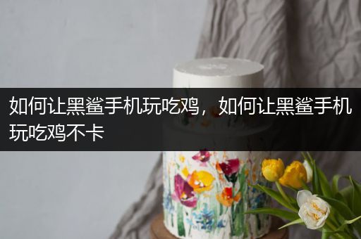 如何让黑鲨手机玩吃鸡，如何让黑鲨手机玩吃鸡不卡