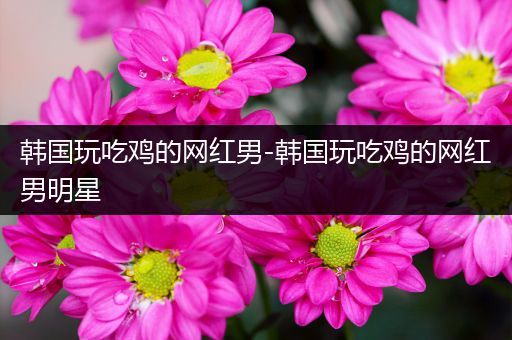 韩国玩吃鸡的网红男-韩国玩吃鸡的网红男明星