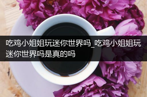 吃鸡小姐姐玩迷你世界吗_吃鸡小姐姐玩迷你世界吗是真的吗
