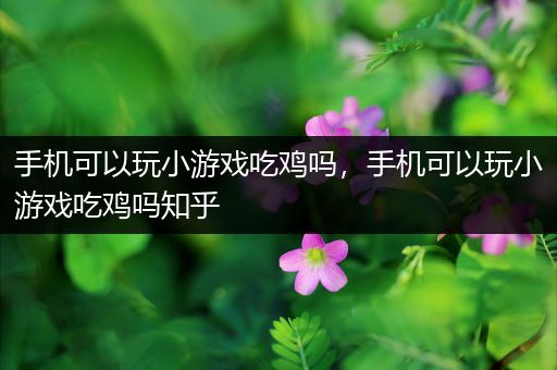 手机可以玩小游戏吃鸡吗，手机可以玩小游戏吃鸡吗知乎