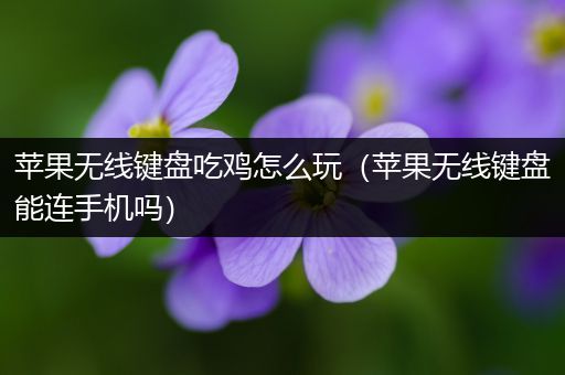 苹果无线键盘吃鸡怎么玩（苹果无线键盘能连手机吗）