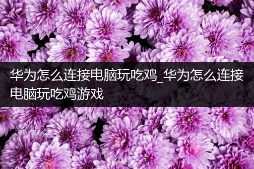 华为怎么连接电脑玩吃鸡_华为怎么连接电脑玩吃鸡游戏