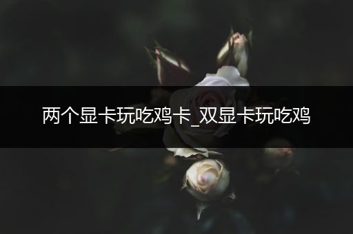 两个显卡玩吃鸡卡_双显卡玩吃鸡