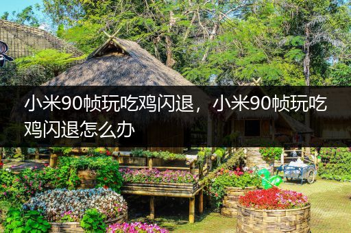 小米90帧玩吃鸡闪退，小米90帧玩吃鸡闪退怎么办