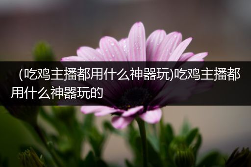 （吃鸡主播都用什么神器玩)吃鸡主播都用什么神器玩的