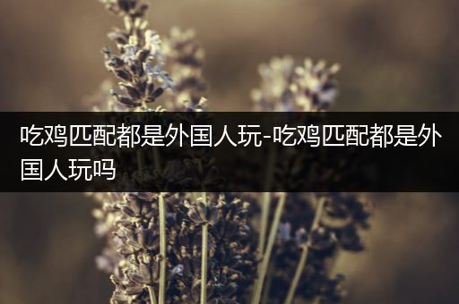 吃鸡匹配都是外国人玩-吃鸡匹配都是外国人玩吗
