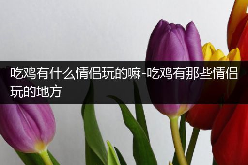 吃鸡有什么情侣玩的嘛-吃鸡有那些情侣玩的地方