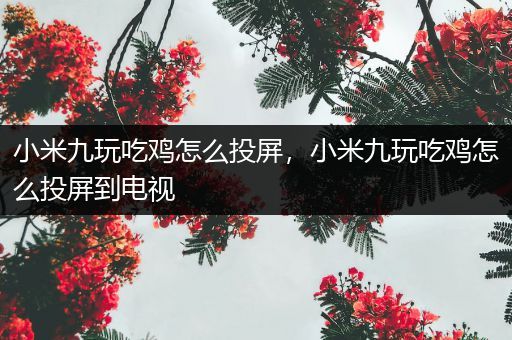 小米九玩吃鸡怎么投屏，小米九玩吃鸡怎么投屏到电视