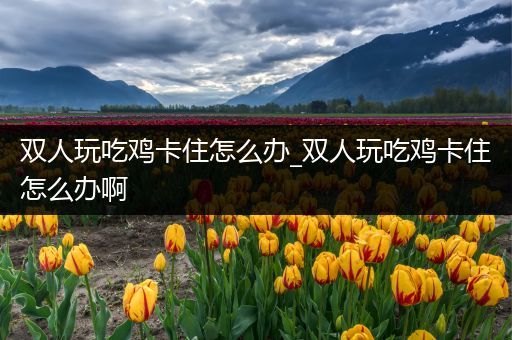 双人玩吃鸡卡住怎么办_双人玩吃鸡卡住怎么办啊