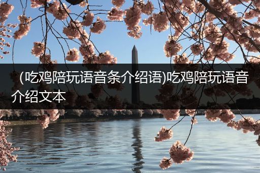 （吃鸡陪玩语音条介绍语)吃鸡陪玩语音介绍文本