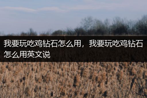 我要玩吃鸡钻石怎么用，我要玩吃鸡钻石怎么用英文说