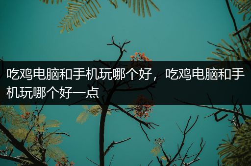 吃鸡电脑和手机玩哪个好，吃鸡电脑和手机玩哪个好一点