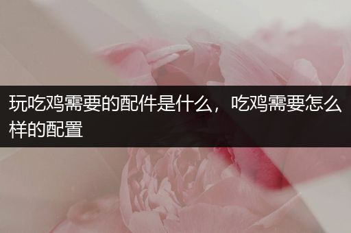 玩吃鸡需要的配件是什么，吃鸡需要怎么样的配置
