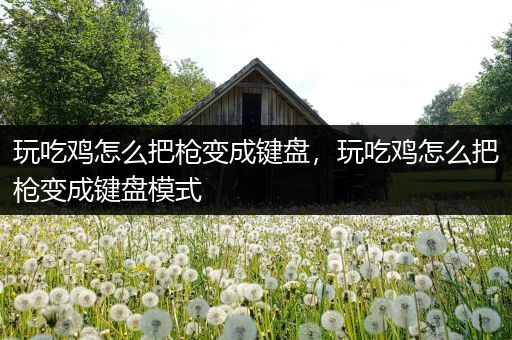 玩吃鸡怎么把枪变成键盘，玩吃鸡怎么把枪变成键盘模式