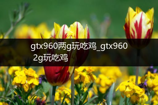 gtx960两g玩吃鸡_gtx960 2g玩吃鸡