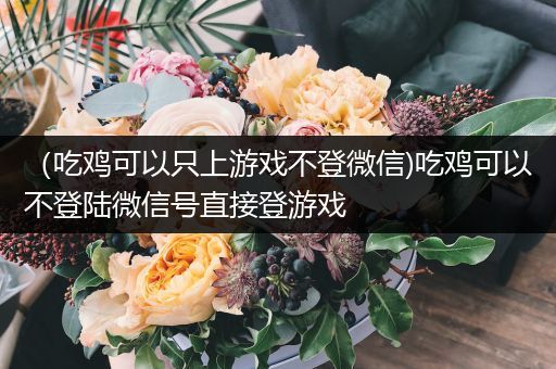 （吃鸡可以只上游戏不登微信)吃鸡可以不登陆微信号直接登游戏