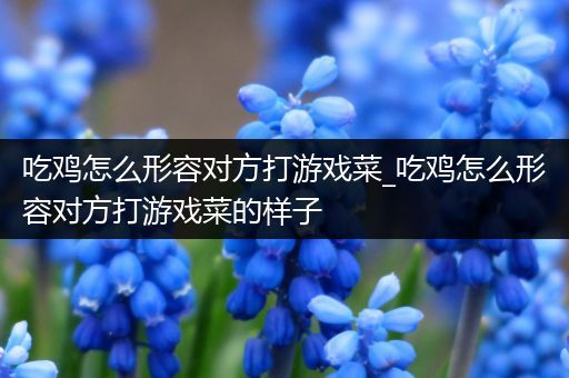 吃鸡怎么形容对方打游戏菜_吃鸡怎么形容对方打游戏菜的样子