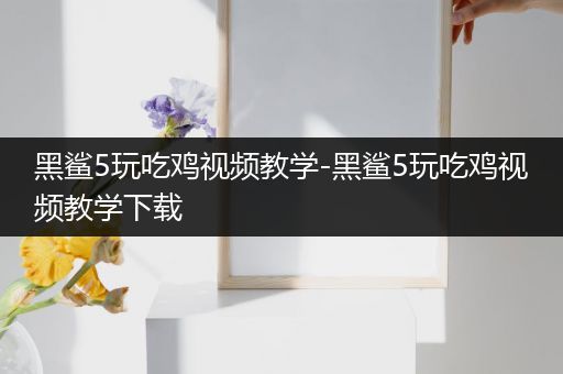 黑鲨5玩吃鸡视频教学-黑鲨5玩吃鸡视频教学下载
